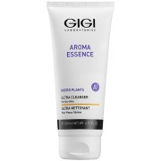 Мыло жидкое для сухой кожи 200 мл Aroma Essence Ultra Cleanser GiGi / ДжиДжи