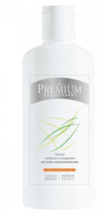 Пенка нежного очищения для сухой и сухой увядающей кожи 170 мл / Premium Professional