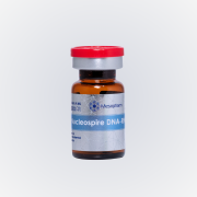 Репарант 4 мл Nucleospire DNA-RNA 2% promo formula ADN restart HA Мезофарм / Mesopharm professional